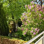 - Am Kuetertor - Alle Mit Terrasse Oder Balkon - In Lage