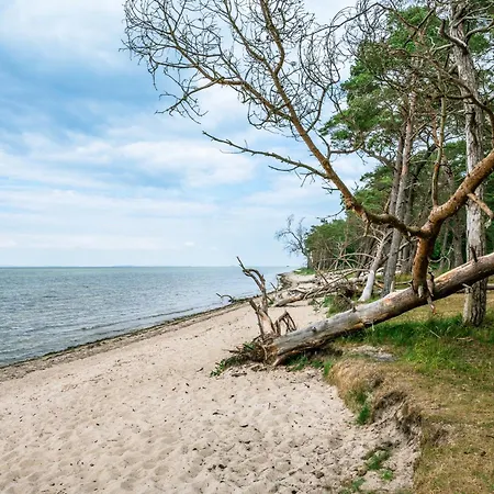 Apartamento - Am Kütertor - Alle Mit Terrasse Oder Balkon - In Lage *