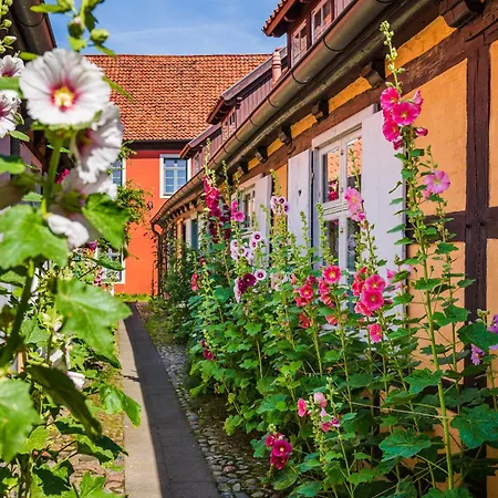 - Am Kuetertor - Alle Mit Terrasse Oder Balkon - In Lage アパート シュトラールズント