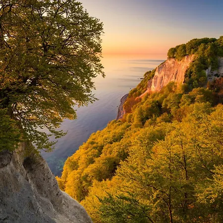 - Am Kütertor - Alle Mit Terrasse Oder Balkon - In Lage Stralsund