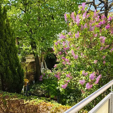 - Am Kuetertor - Alle Mit Terrasse Oder Balkon - In Lage